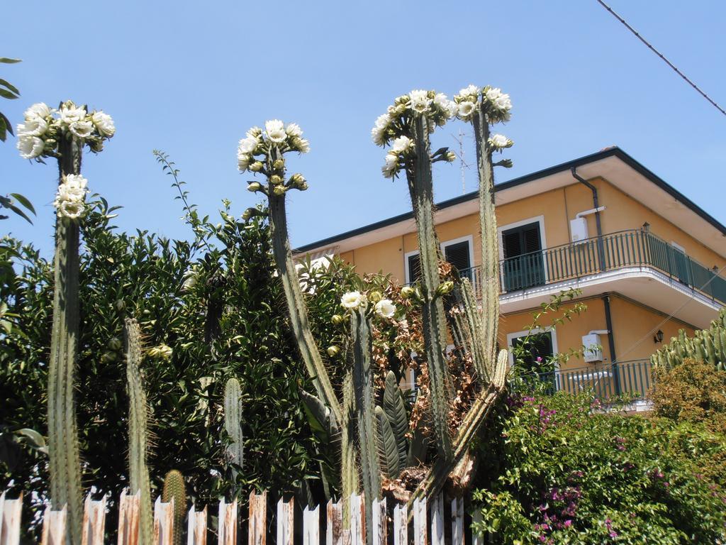 Oasi Puntese Hotel Tremestieri Etneo ภายนอก รูปภาพ